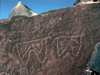 Forhistorie, klippekunst: gravsten af repræsentationen af kvæg. Tazina stil. Stenalder 5000-2000 f.Kr. Taghit, Haut plateau du Hoggar (Ahaggar), Algeriet
