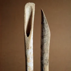 Forhistorie: værktøjer til at fjerne bark fra skinnebenet fra geder og får fra Necropole of Arene Candide (Finale Liguria), Liguria. Mellemneolitikum, stenalder. Gener, museo di archeologia ligure