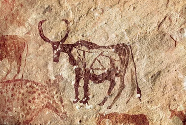 Klippemaleri: repræsentation af en hjortevild. Cave of Tadrart Acacus Libyen