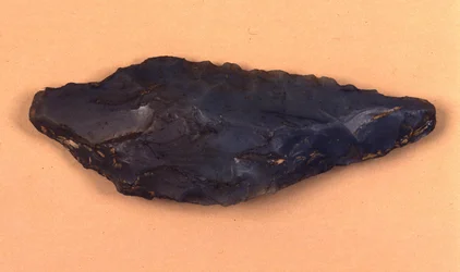 Stenpilespids opdaget i Isolino di Varese (Italien).