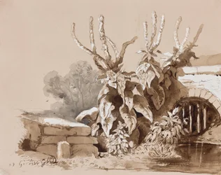 Studie af planter ved en grøft, med tilføjelser af en instruktør, 1856 (blyant, sepia-vaske og gouache på papir)