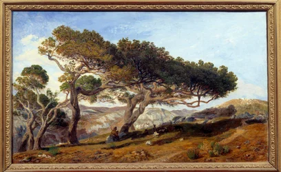Pines på landet i Aix en Provence Maquis -landskab i det sydlige Frankrig. Maleri af Prosper Joseph Gresy (1804-1874) 19. århundrede Aix en Provence, Musee Granet-fyrretræer på landet omkring Aix-en-Provence. Landskab af maquis i
