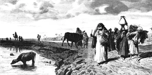 En Chaussee i Deltaet, på tidspunktet for oversvømmelsen, 1880