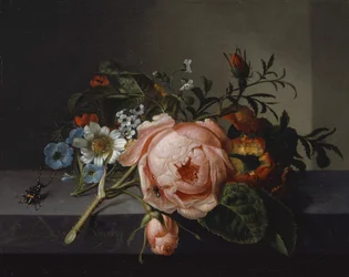 Stilleben med rosengren, bille og bi, 1741 (olie på lærred monteret på eg)