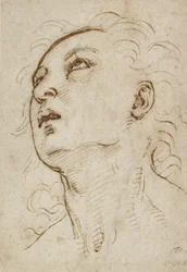 Leder af en ung mand, der stirrer opad, ca. 1497-1504 (pen og brunt blæk over metalspids på cremepapir)