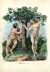 Menneskeracer, 1863-79
