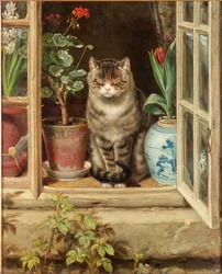 Blinkende i solen, 1881