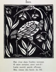 Ibis - i "Le Bestiaire ou cortege d