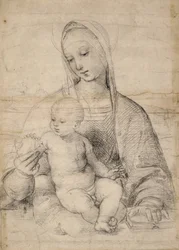 Madonna af granatæble, ca. 1504 (sort-grå kridt)