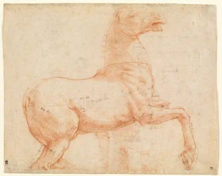 A Marble Horse on the Quirinal Hill (recto), ca. 1513 (rødt kridt, kuglepen, brunt blæk, blyspids og stylus)