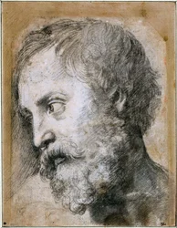 Leder af An Apostle Study for Transfiguration, 1519-1520