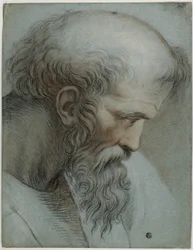 Leder af Pythagoras