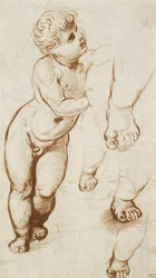 Recto: The Infant Christ and Other Studies, 1500-1520