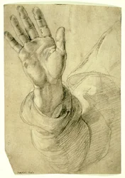 Ophøjet højre hånd, med håndfladen vendt udad: Study for Saint Peter, 1518-20