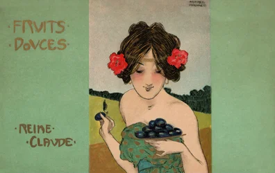 Greengages, ca. 1900 (illustration)