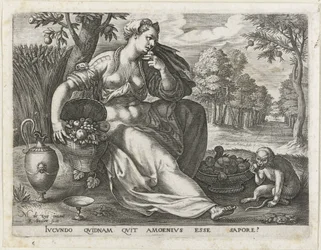 Smag De fem sanser (serietitel)