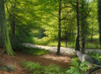 Skovområde med skovdue