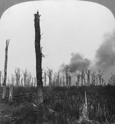 Højeksplosive granater brister i Mametz Wood, Frankrig, Første Verdenskrig, 1916
