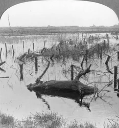 Åbnede sluser og pigtråd ved Nieuwpoort, Belgien, Første Verdenskrig, c1914-c1918