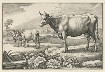 Græsgang med køer Diversa Animalia Quadrupedia (serietitel)