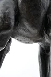 Stor giraf med sænket hoved, modelleret 1909-10, støbt før 1913 (bronze) (se også 3084917-43)