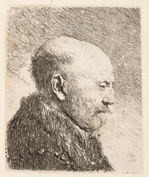Skaldet mand i profil (Rembrandts far?)