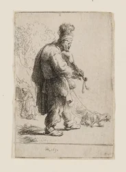Den blinde violinist