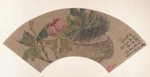 Pæon, 1800-tallet.