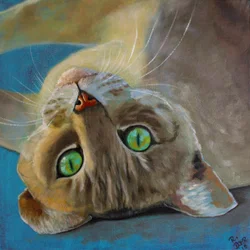 Kat held