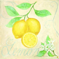 Friske citroner – botanisk
