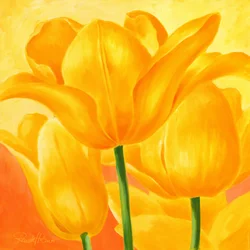 Solgule tulipaner