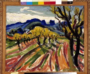 Felt med oliventræer i Alpilles (olie på lærred)
