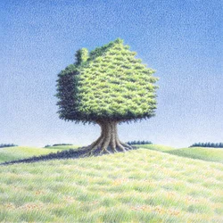 Træhus