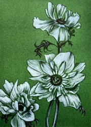 Uhyggelige grønne blomster