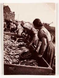 Fiskeri, Fisherfolk Kvinder, der sorterer fisk, Whitby Harbour, North Yorkshire, c 1905