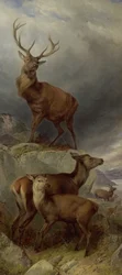 Dyreskoven