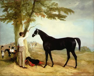 Thomas Cosbys stridshest 