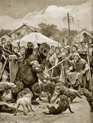 Bear Baiting in Saxon Times, illustration fra 