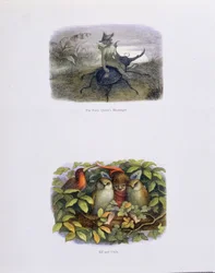 Eventyrdronningens budbringer og Elf og ugler, illustrationer fra "I Eventyrland: A Series of Pictures from the Elf-World" af William Allingham og Andrew Lang