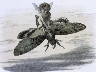 En elfe chevauchant og papillon. Illustration af Richard Doyle dæk af ""In Fairy land. En serie billeder fra alf - verden"" accompagnee d