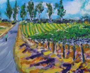 En gåtur i Wine County, Napa, 2017