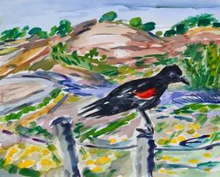 Perched, 2021 (akvarel på papir)