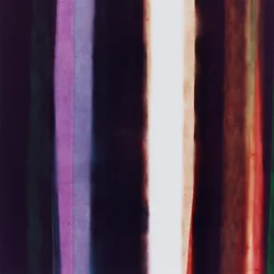 Stribe IV, 2005