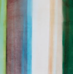 Stribe VIII, 2005