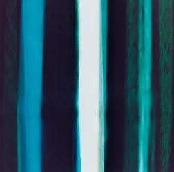 Stribe V, 2005