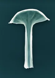 Uden titel, 2003