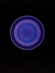 Uden titel, 2004