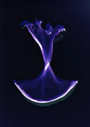 Uden titel, 2004