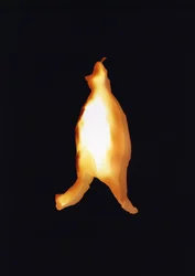 Uden titel, 2004