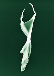 Uden titel, 2004